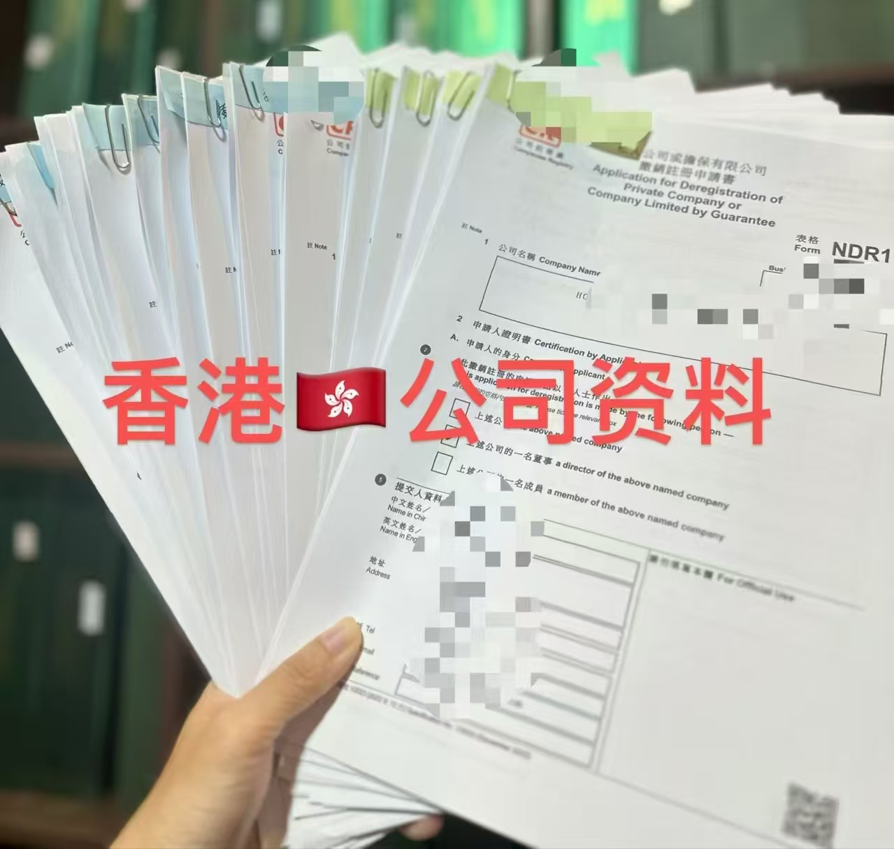 公司註冊資料